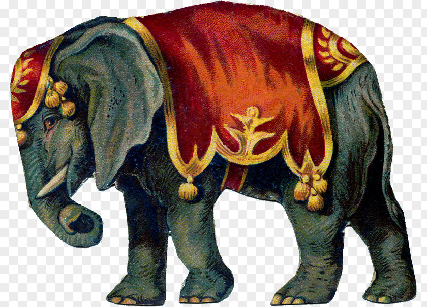 Circus Elephantidae Clip Art PNG