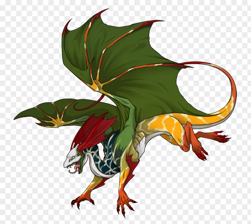 Odontodactylus Scyllarus Dragon Legendary Creature Mythology Chimera PNG