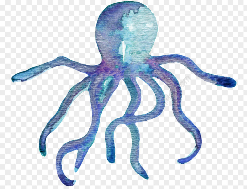 Recommendation Octopus Watercolor Painting Cartoon Image PNG