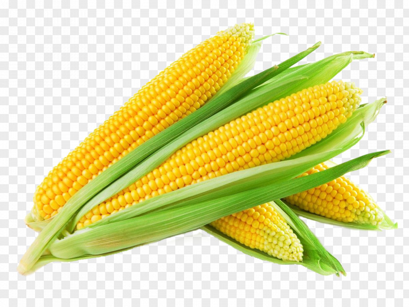 Sweet Corn Maize Kernel Cereal Grain PNG