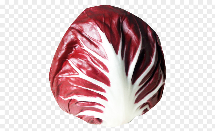 Vegetable Radicchio Di Chioggia Chicory Salad PNG