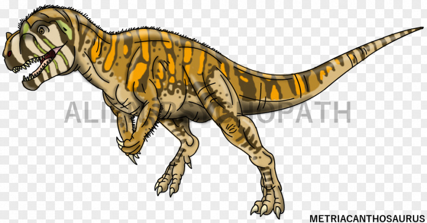 Allosaurus Metriacanthosaurus Velociraptor Spinosaurus Suchomimus Brachiosaurus PNG