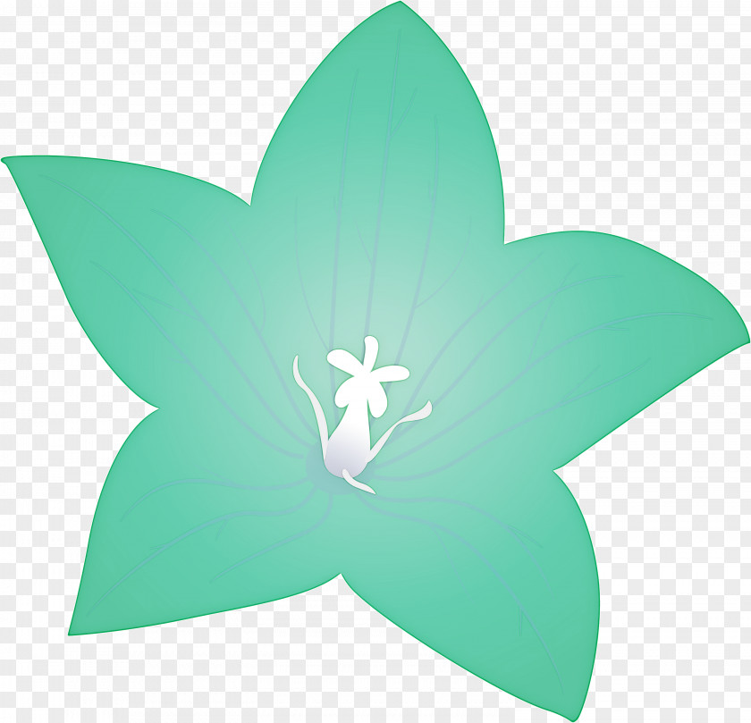 Balloon Flower PNG