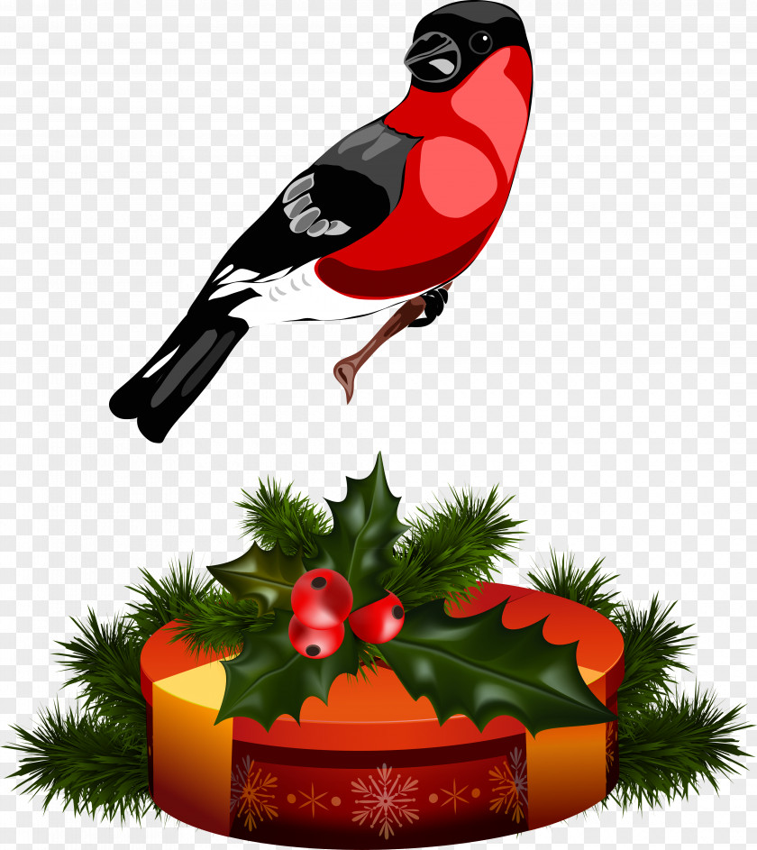 Christmas Ornament Clip Art PNG