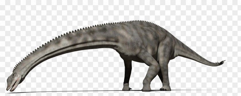 Dinosaur Wildlife PNG