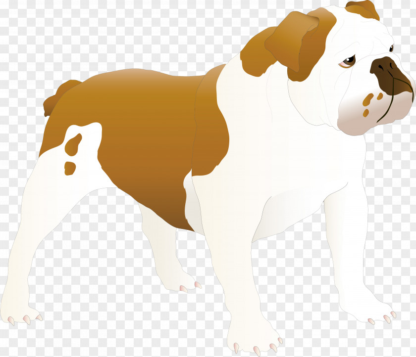 Dog Veterinary Clinic Doctor Sotnikova Bulldog Puppy Cat Veterinarian PNG
