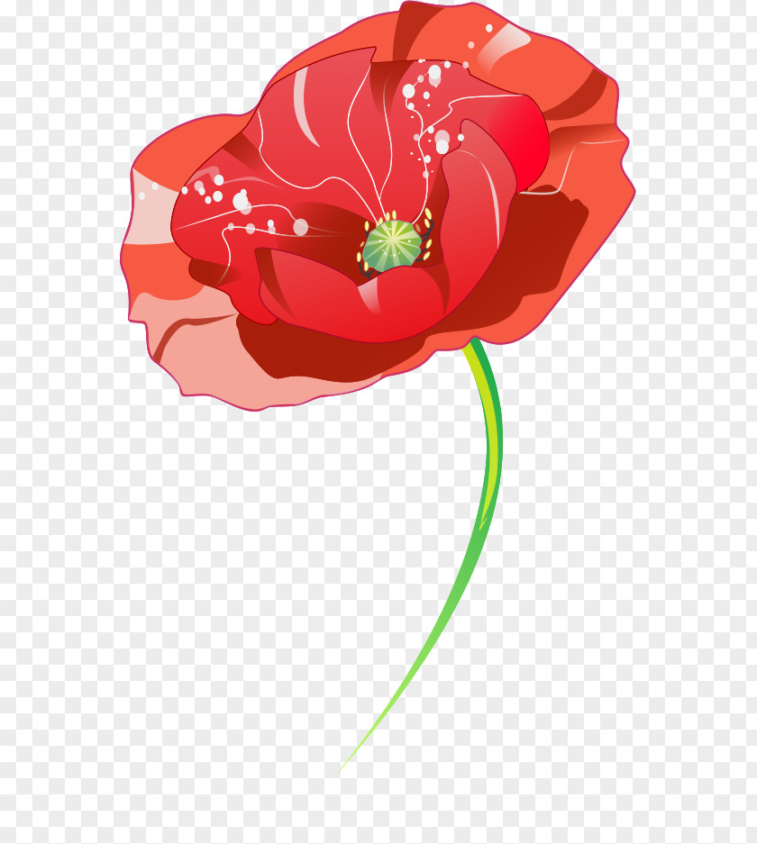 Illustration Illustrator Graphics Sketch Garden Roses PNG