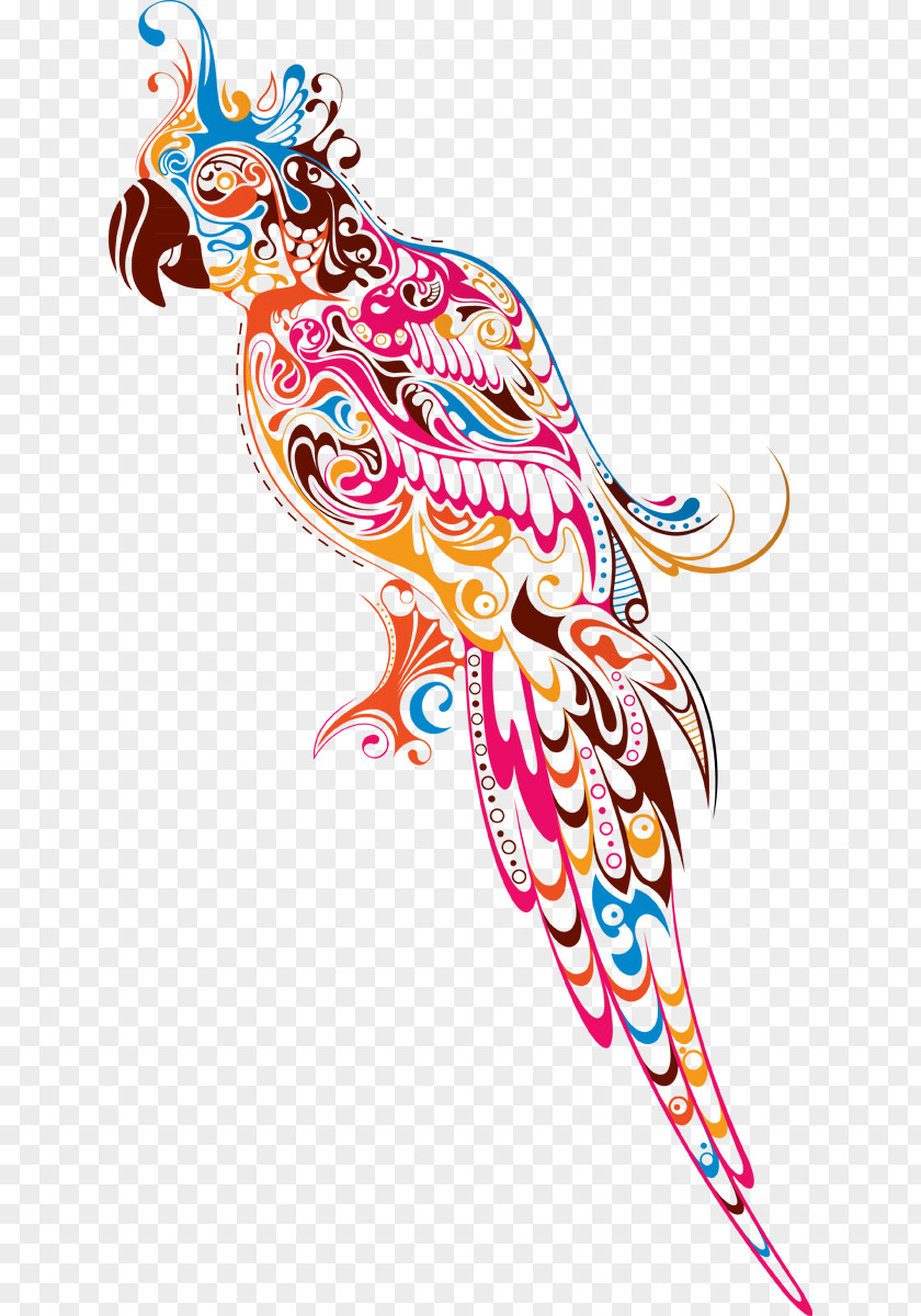 Parrot Drawing Clip Art PNG