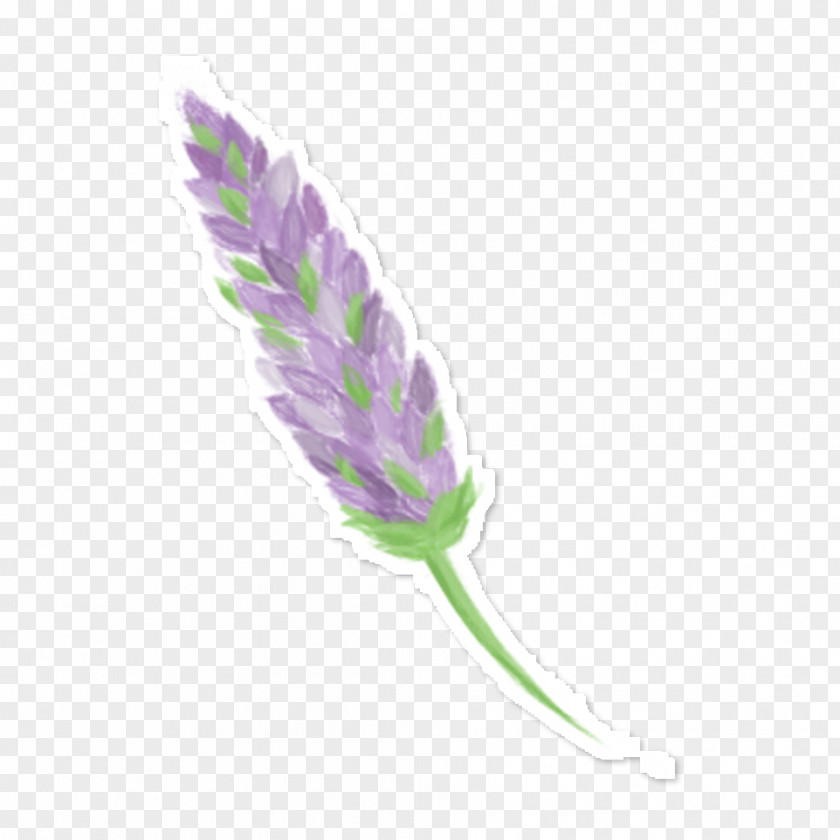 Pastel Watercolor Flowers English Lavender Lilac Drawing Violet PNG