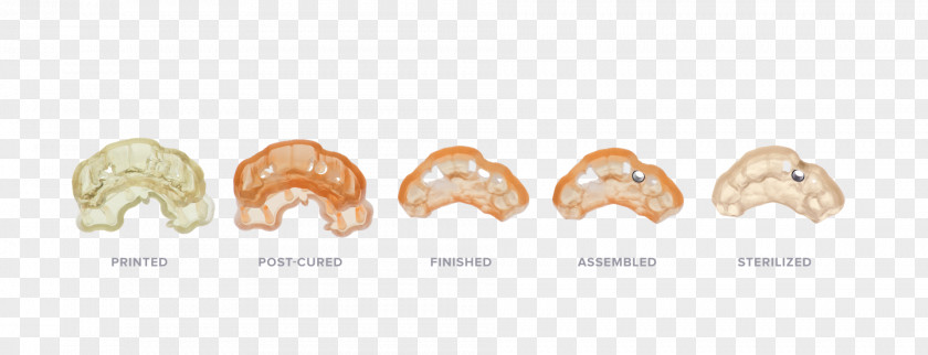 Sterilized Mycoplasma Dentistry Formlabs Biocompatibility 3D Printing Surgery PNG