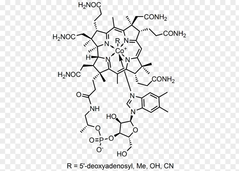 Vitamin B12 Dietary Supplement B-12 Cyanocobalamin B Vitamins PNG