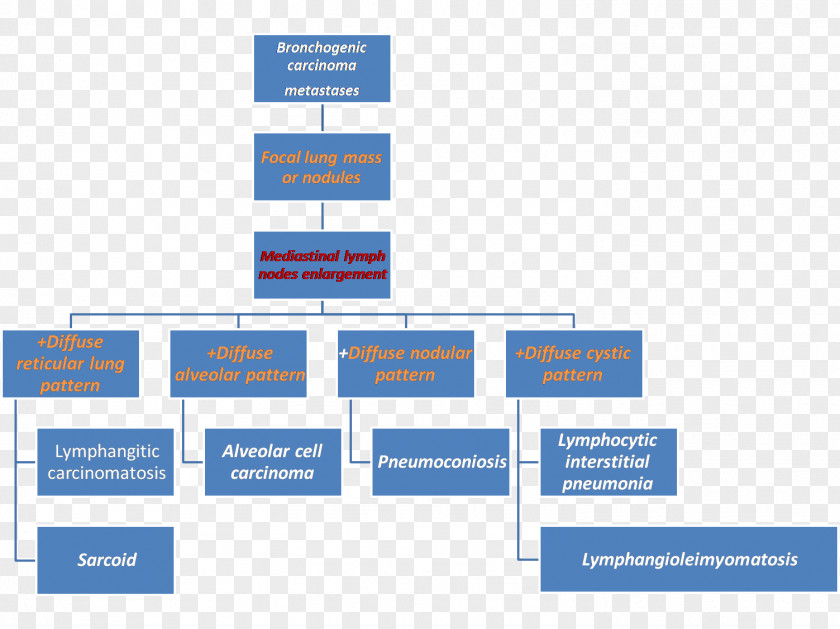 Business Organizational Chart Work Breakdown Structure Management Project PNG