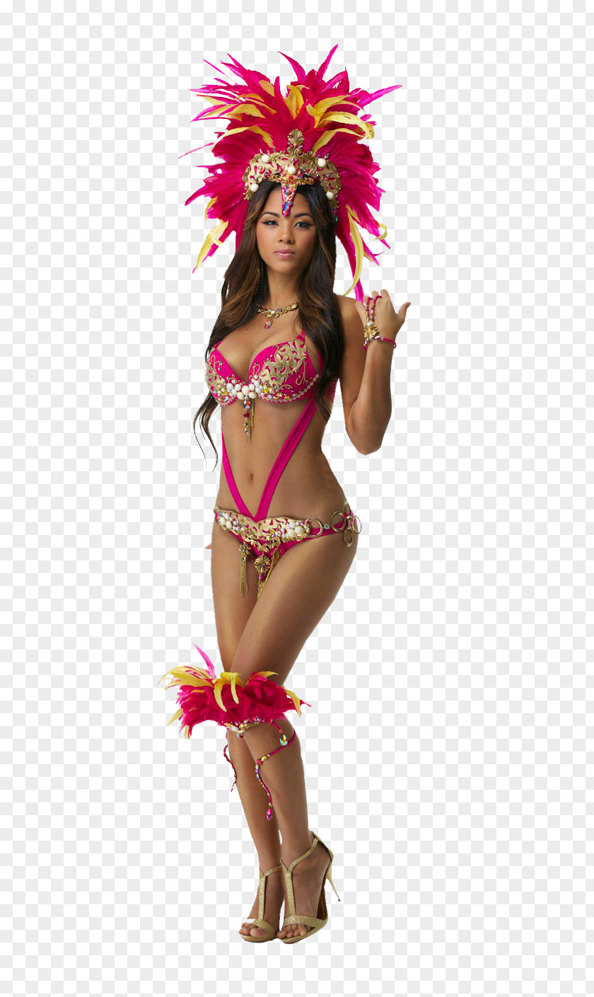 Carnival In Rio De Janeiro Brazilian Trinidad And Tobago Costume PNG