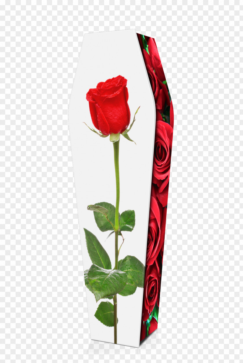 Coffin Garden Roses Cut Flowers PNG