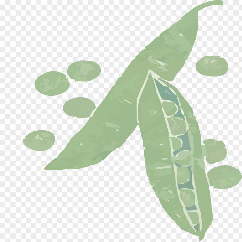 Painted Green Peas Pea Leaf Icon PNG