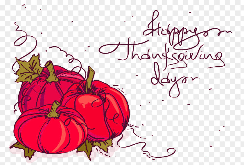 Painted Thanksgiving Pumpkin Vector Illustration Material Public Holiday Dinner Clip Art PNG