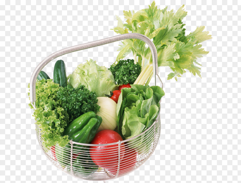 Vegetable Bottle Stock Photography Leaf Lettuce PNG