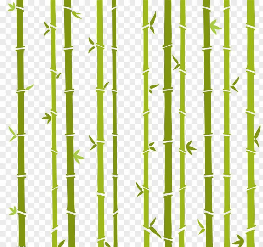 Bamboo Pattern Image,Fresh Hand-painted Cartoon Bambusa Oldhamii PNG