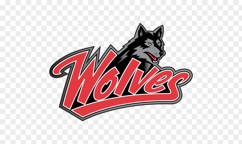 Basketball Western Oregon University Wolves Men's Women's Logo Central Washington PNG