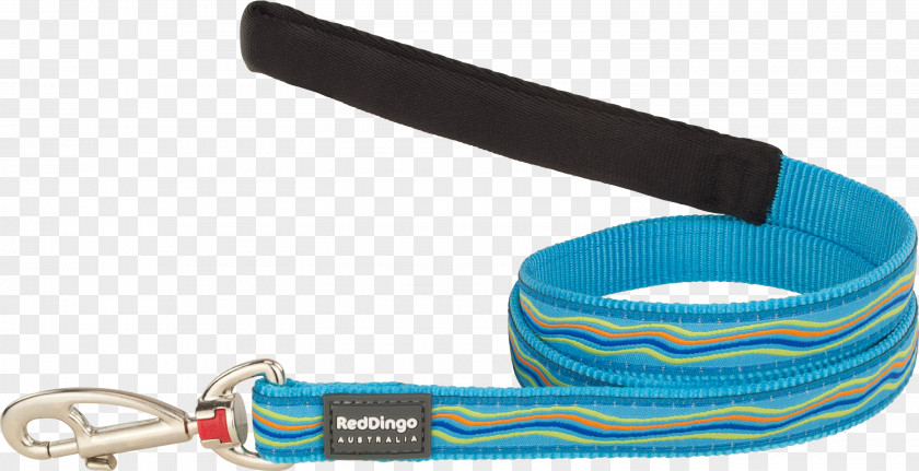 Dog Leash Collar Dingo Puppy PNG