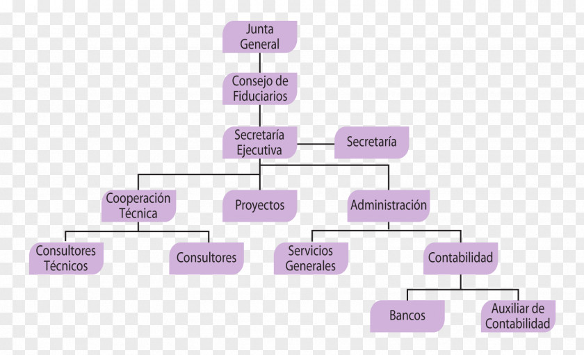 El Salvador Organizational Structure Chart Belizean–Guatemalan Territorial Dispute PNG