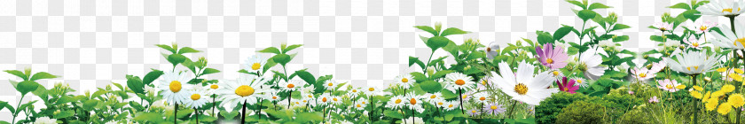 Flowers Floral Design Icon PNG