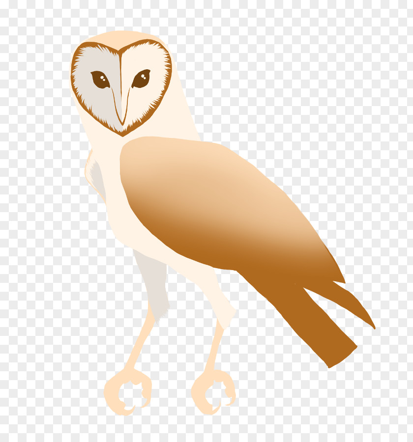 Owl Beak Neck Clip Art PNG