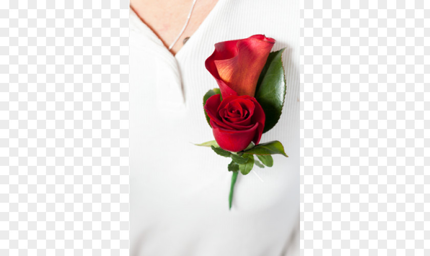 Rose Garden Roses Buttonhole Cut Flowers PNG