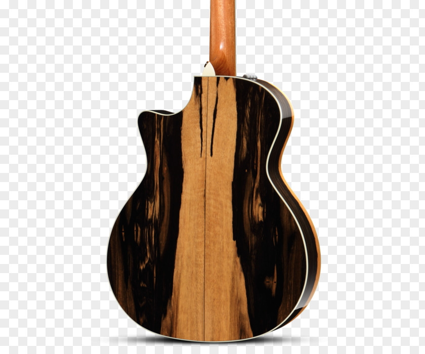 Acoustic Poster Bass Guitar Acoustic-electric Taylor Guitars PNG