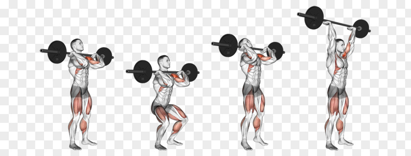 Barbell Shoulder Push Press Overhead Exercise PNG