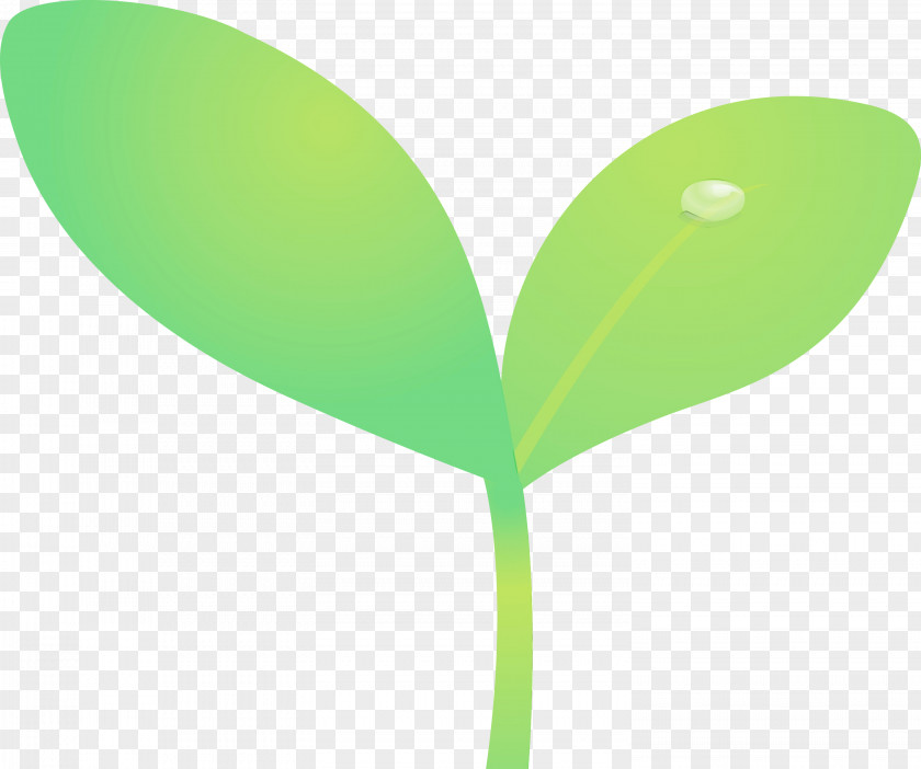 Green Leaf Plant Flower Stem PNG