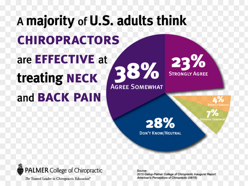 Health Palmer College Of Chiropractic Low Back Pain Chiropractor PNG