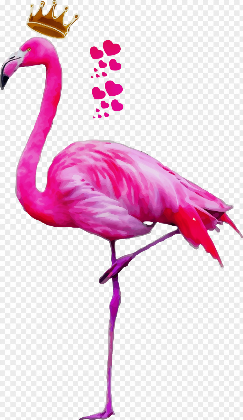 Neck Magenta Flamingo PNG