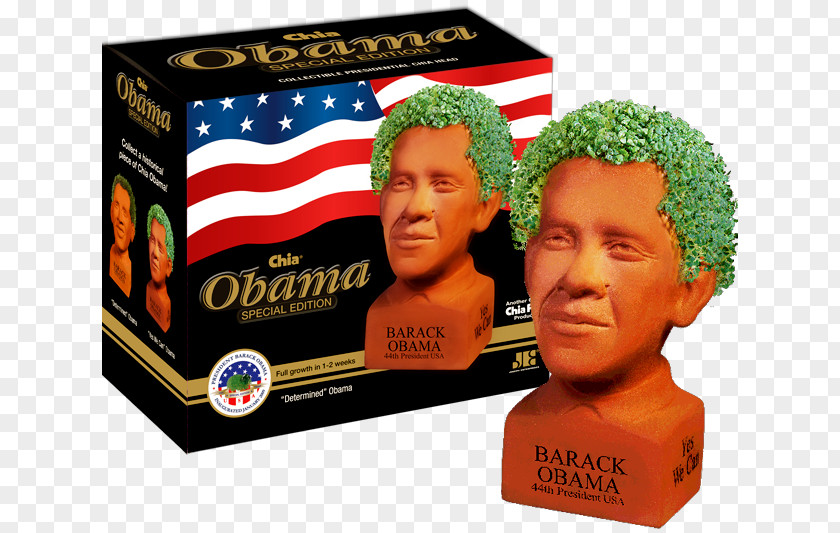 Prince William Barack Obama Chia Pet Mitt Romney Seed PNG