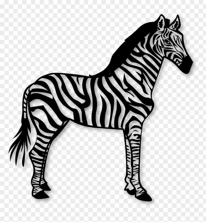 African Animals Zebra Vector Graphics Illustration Clip Art Stock Photography PNG