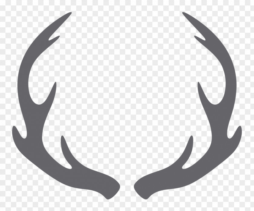 Antlers Huntin', Fishin' & Lovin' Every Day Photography Royalty-free PNG