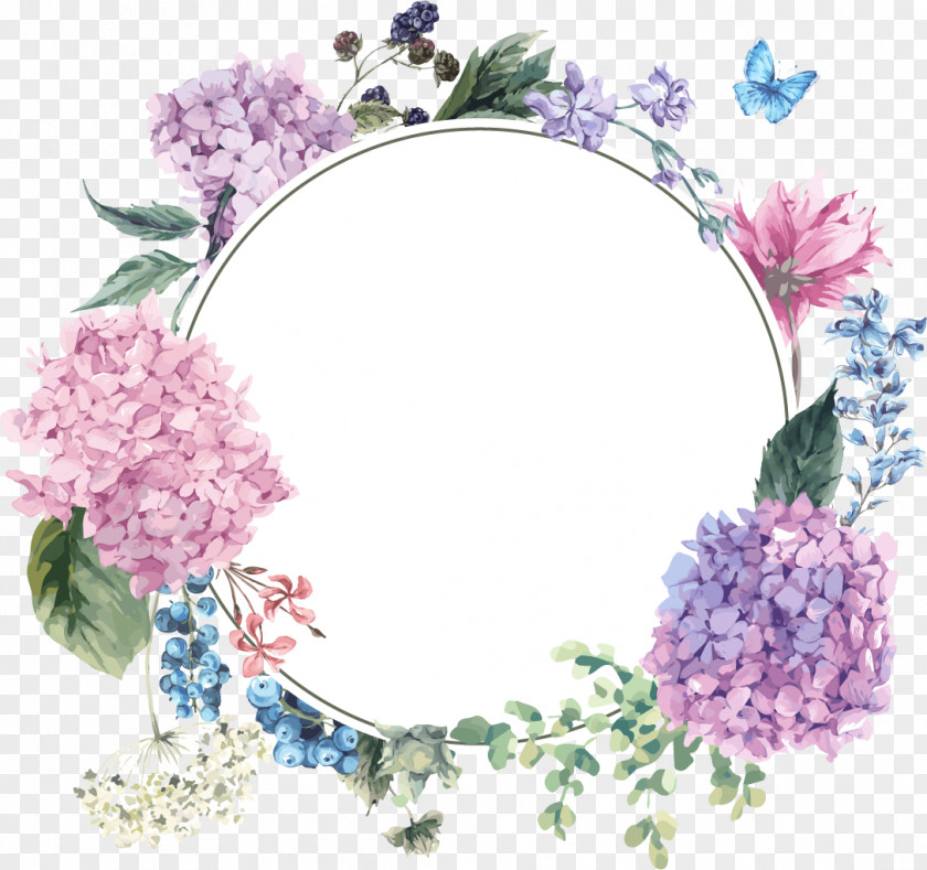 Hydrangea Border Flower Floral Design Drawing Watercolor Painting Wreath PNG