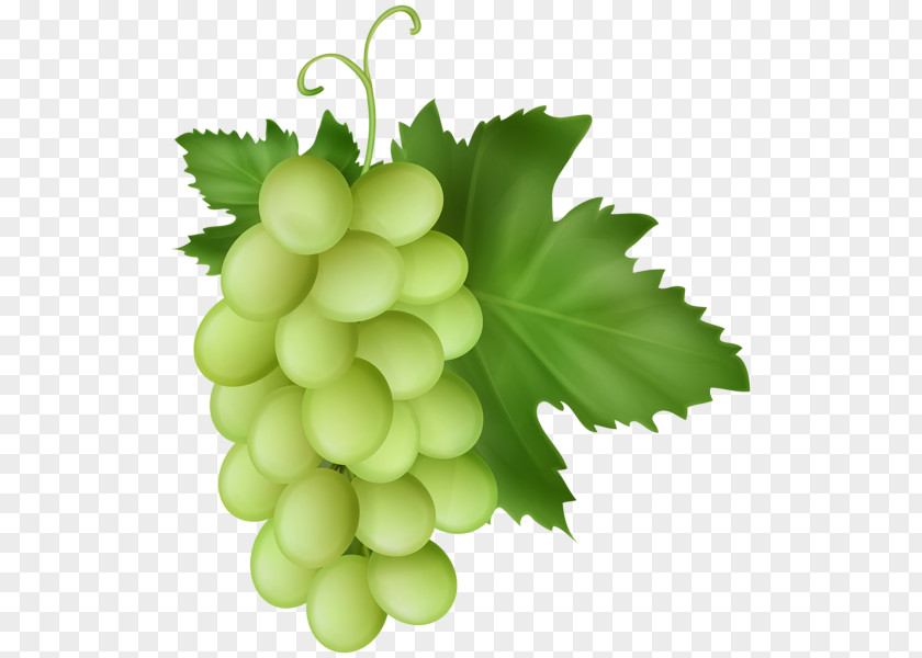 Keppel Fruit Aix Sultana Grape Seedless Clip Art PNG