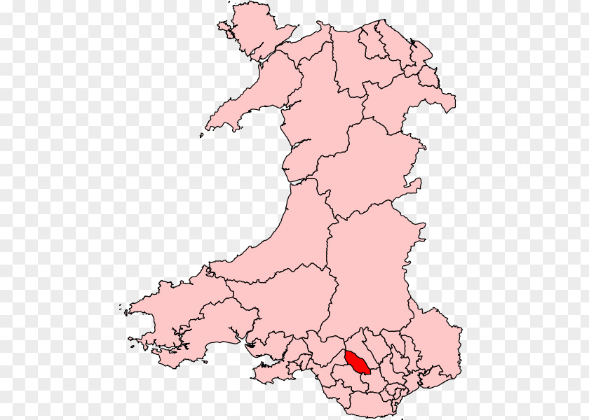Measure Of The National Assembly For Wales Blaenau Gwent Rhondda Cardiff Newport Electoral District PNG