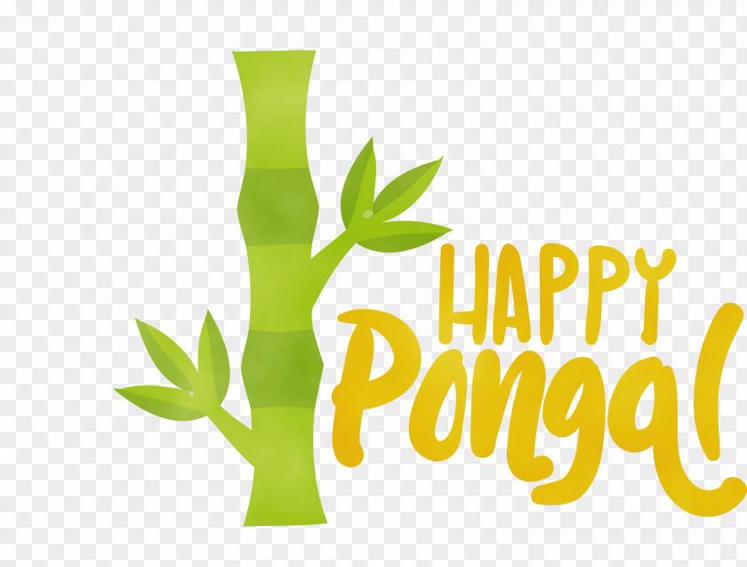 Plant Stem Logo Font Yellow Tree PNG