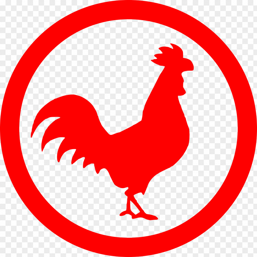 Rhode Island Red New Hampshire Chicken Rooster Organization PNG