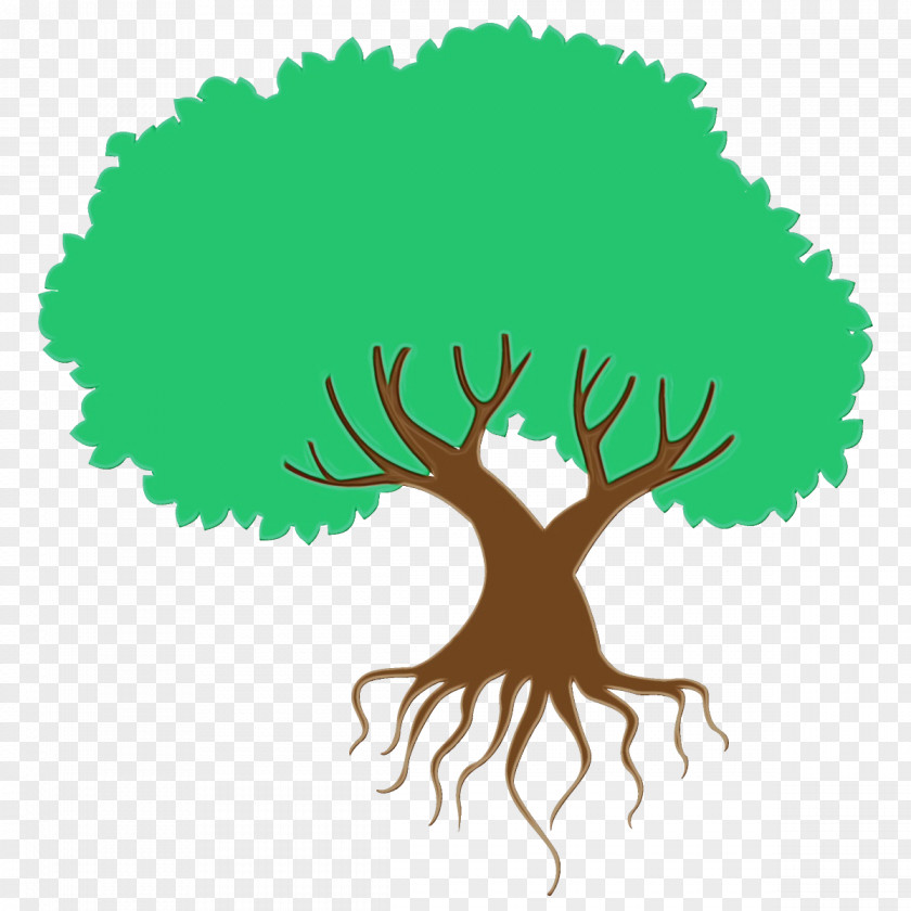 Root Plant Green Tree Logo PNG