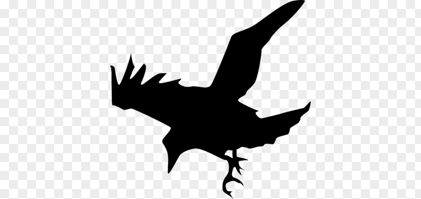 Silhouette Common Raven Clip Art PNG