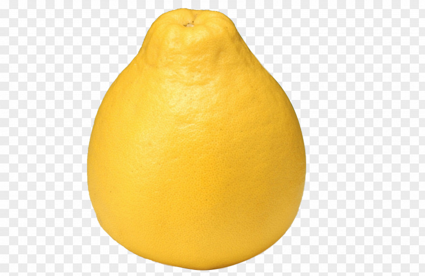 Yellow Color Sand Pomelo Material Picture Lemon Citron Tangelo Grapefruit Citrus Junos PNG