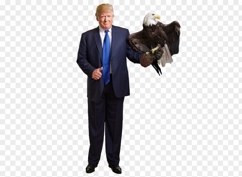 Eagle Bald White House President Of The United States Donald Trump Presidential Campaign, 2016 PNG