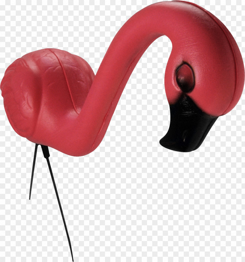 Flamingo Plastic Flamingos Time For Uncle Guido Clip Art PNG