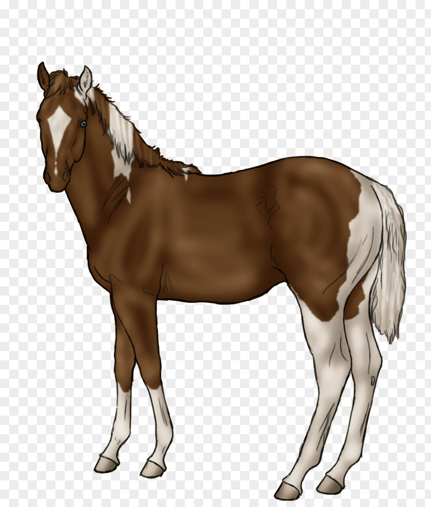 Horse Mane Foal Stallion Rein PNG