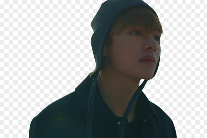 Japanese Version BeanieBts Jimin BTS Spring Day PNG