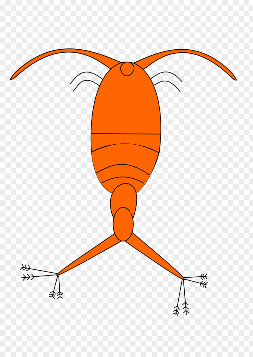 Plankton Clip Art PNG