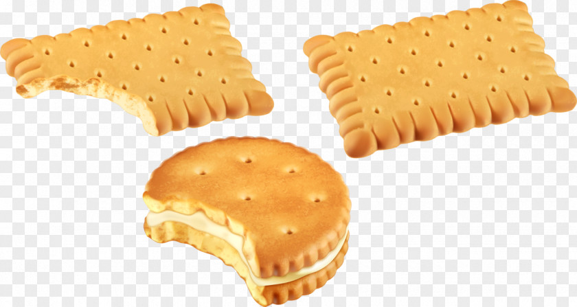 Biscuit Chocolate Sandwich Biscuits Clip Art Chip Cookie PNG